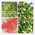 Spring Onion, Chives, Scallion, Leek, Celery, Pepper Cutter Cutting Machine